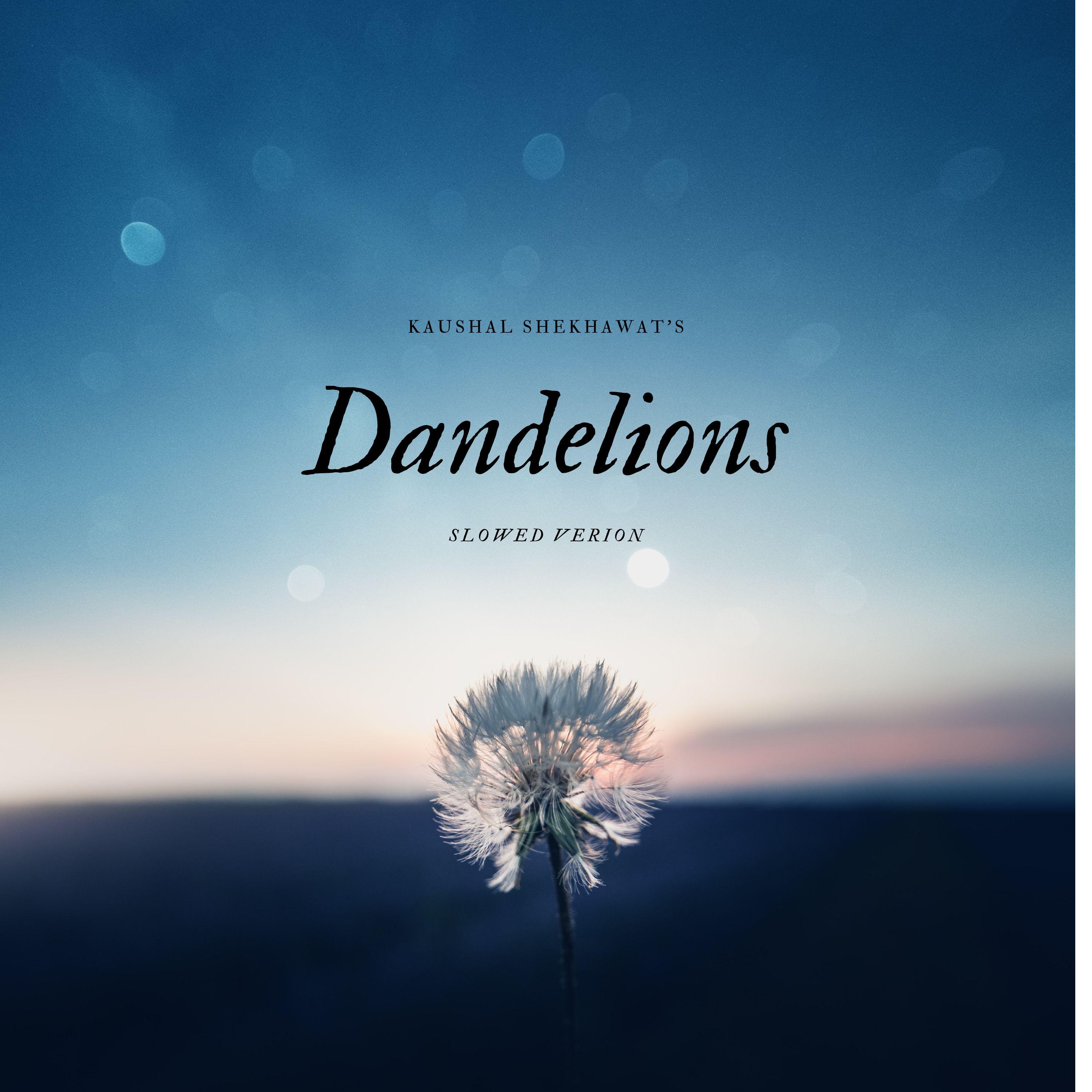 Dandelions