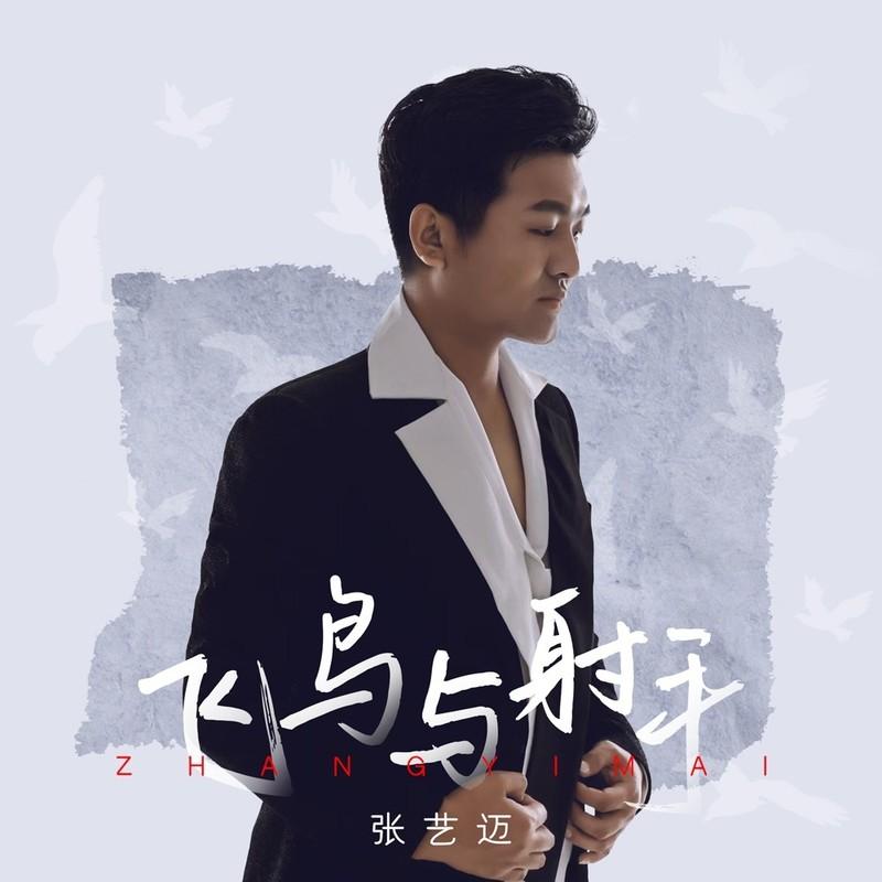 飞鸟与射手 (DJ九零版伴奏)封面