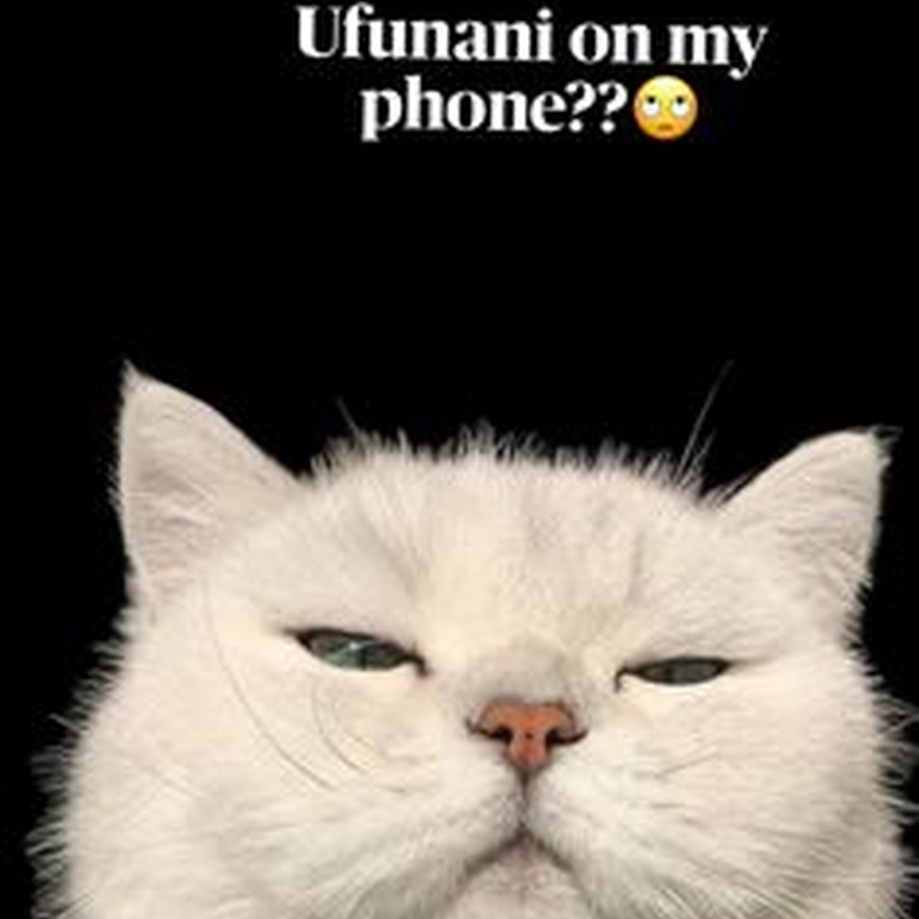 Interlude # 2 (slowed)