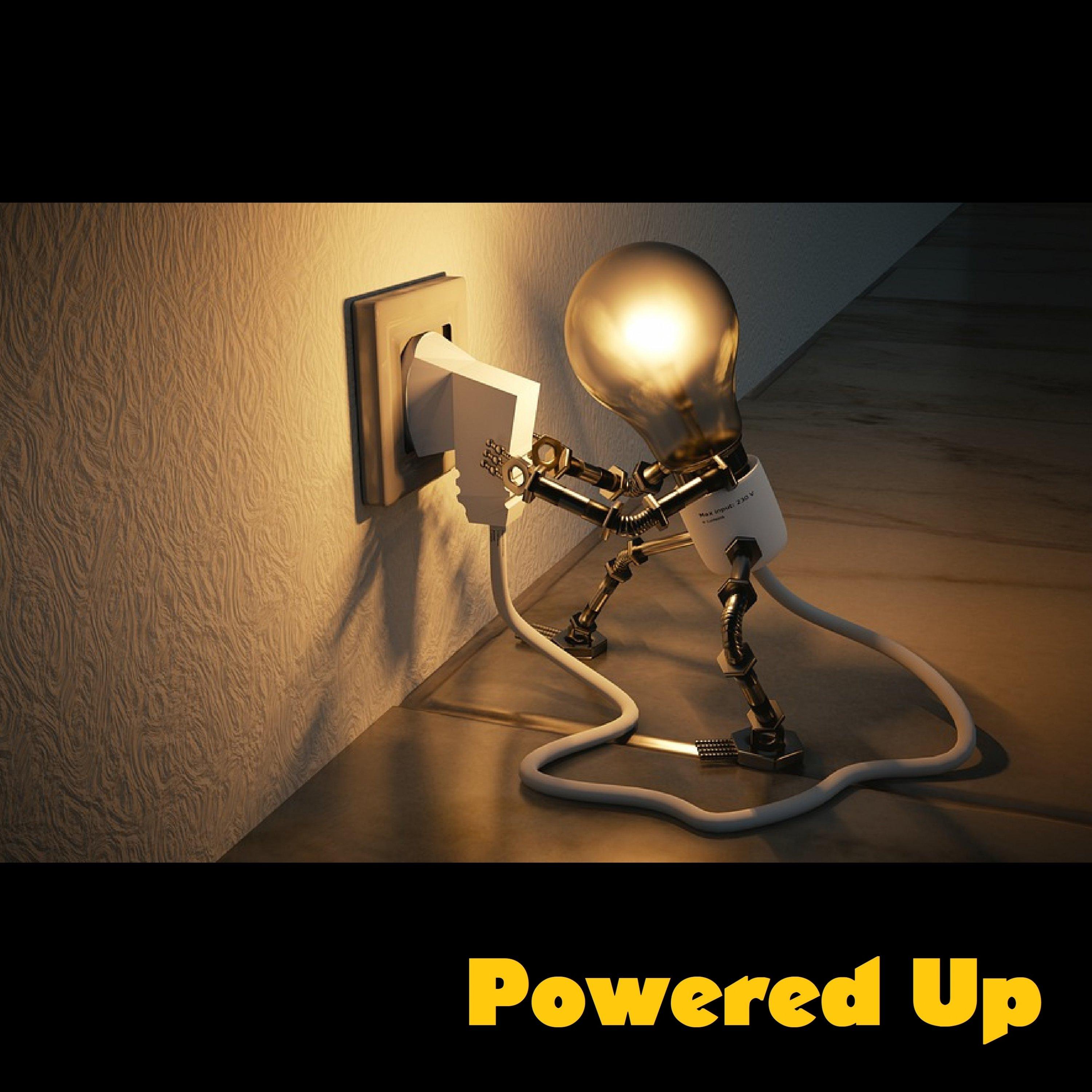 Aluminized Reflector