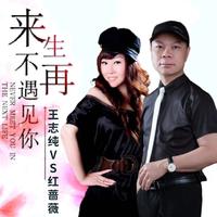 来生不再遇见你 (对唱版)