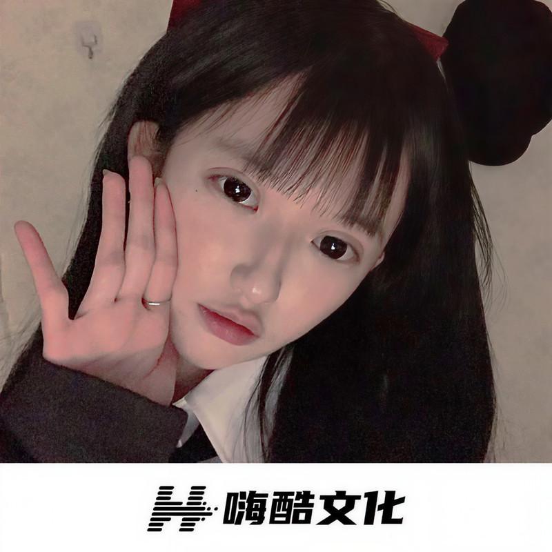 追梦人 (DJ版)封面
