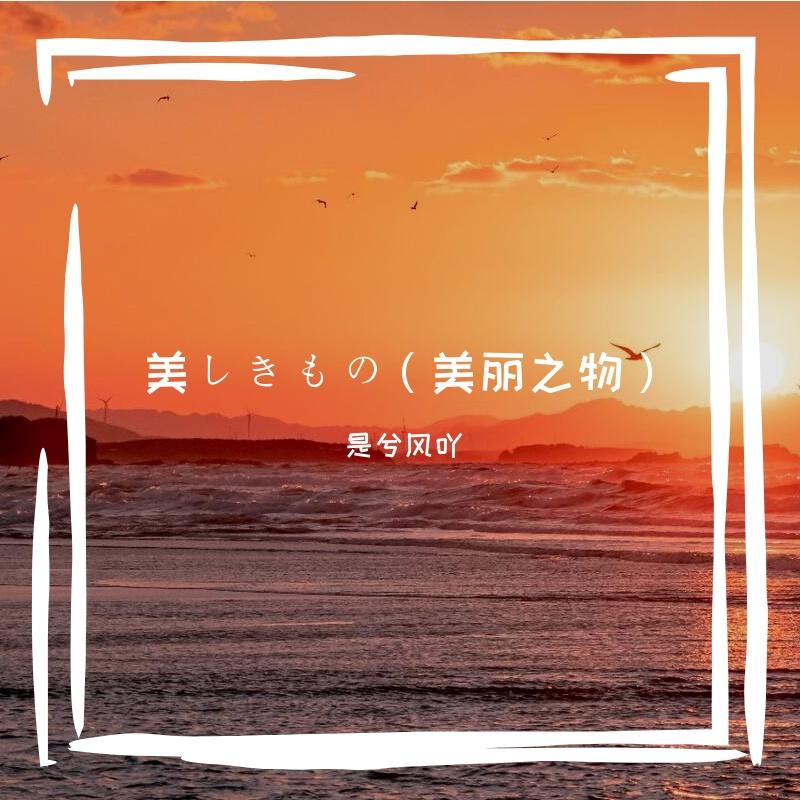 美丽之物（古琴版） - 苏兮风封面