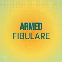 Armed Fibulare