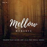 Mellow Moments - Tender Easy Going And Calm Pop Vocal Songs, Vol. 18