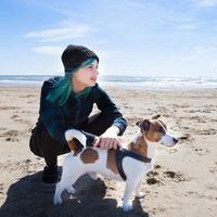 Paw-fect Ocean Serenity: A Pet's Harmony in Ambient Waves