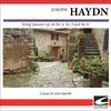 Caspar da Salo Quartet - Haydn String Quartet #52 In E flat major, op. 64, No. 6, H 364 - Andante