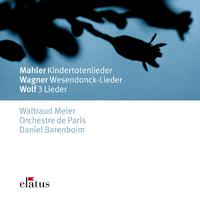 Mahler, Wagner & Wolf : Orchestral Songs - Elatus