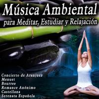 Música Ambiental para Meditar, Estudiar y Relajación