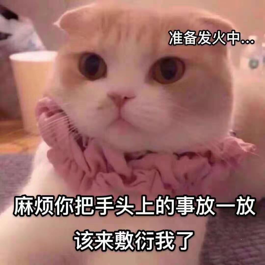 依兰爱情故事封面