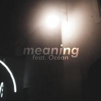 meaning (feat. Océan)