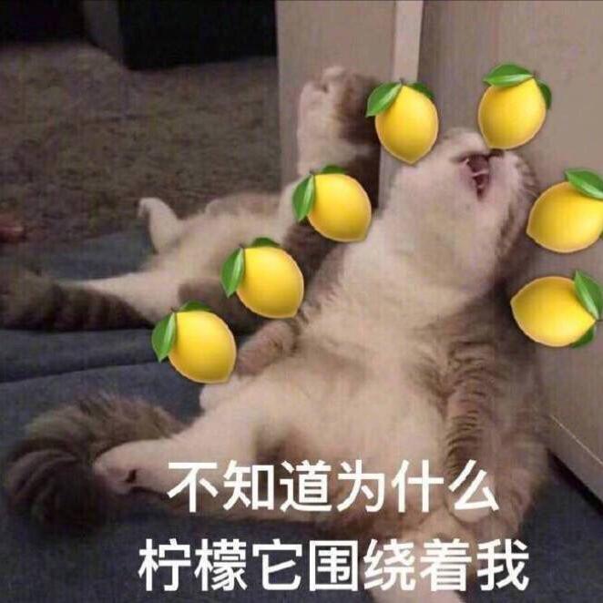 柠檬精之歌