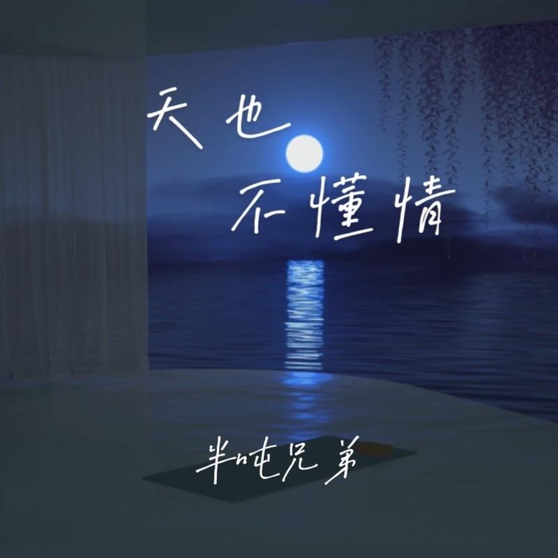 天也不懂情 (伴奏)封面