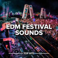 EDM Festival Sounds 2022