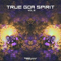 True Goa Spirit, Vol. 6 (Goa Trance Dj Mixed)