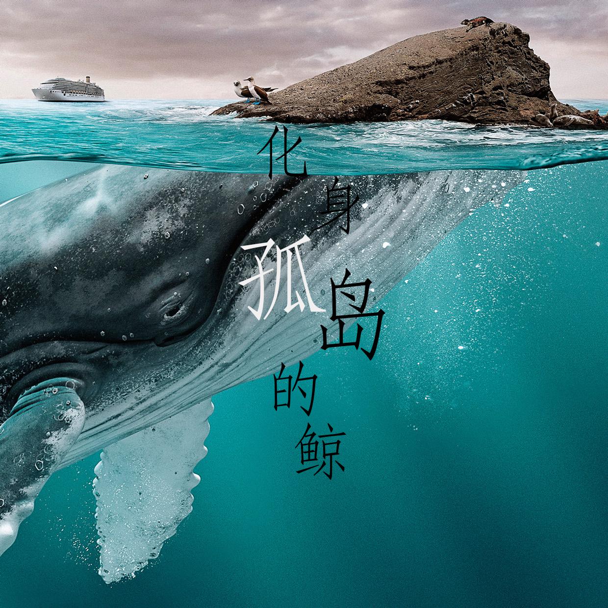 化身孤岛的鲸(cover 周深)