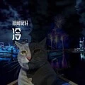 美人鱼 (DJ版)封面