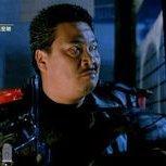 刑事组之虎灬曹达华