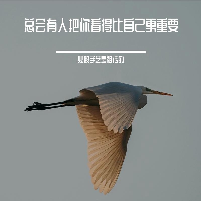 我这一生最疼的思念封面