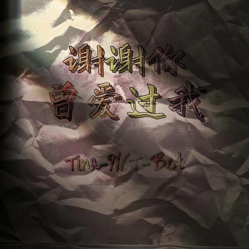 谢谢你曾爱过我封面