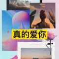 真的爱你 (Remix) - 扭扭、7妹封面
