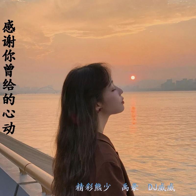 爱过一回伤一回 (ProgHouseMix)封面