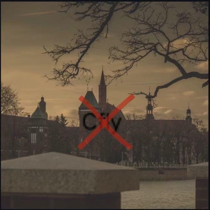 引火烧身(diss-Cfly)