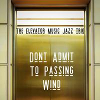 The Elevator Music Jazz Trio