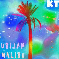 Malibu (feat. Trell.Music) [Remix]