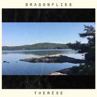 Dragonflies