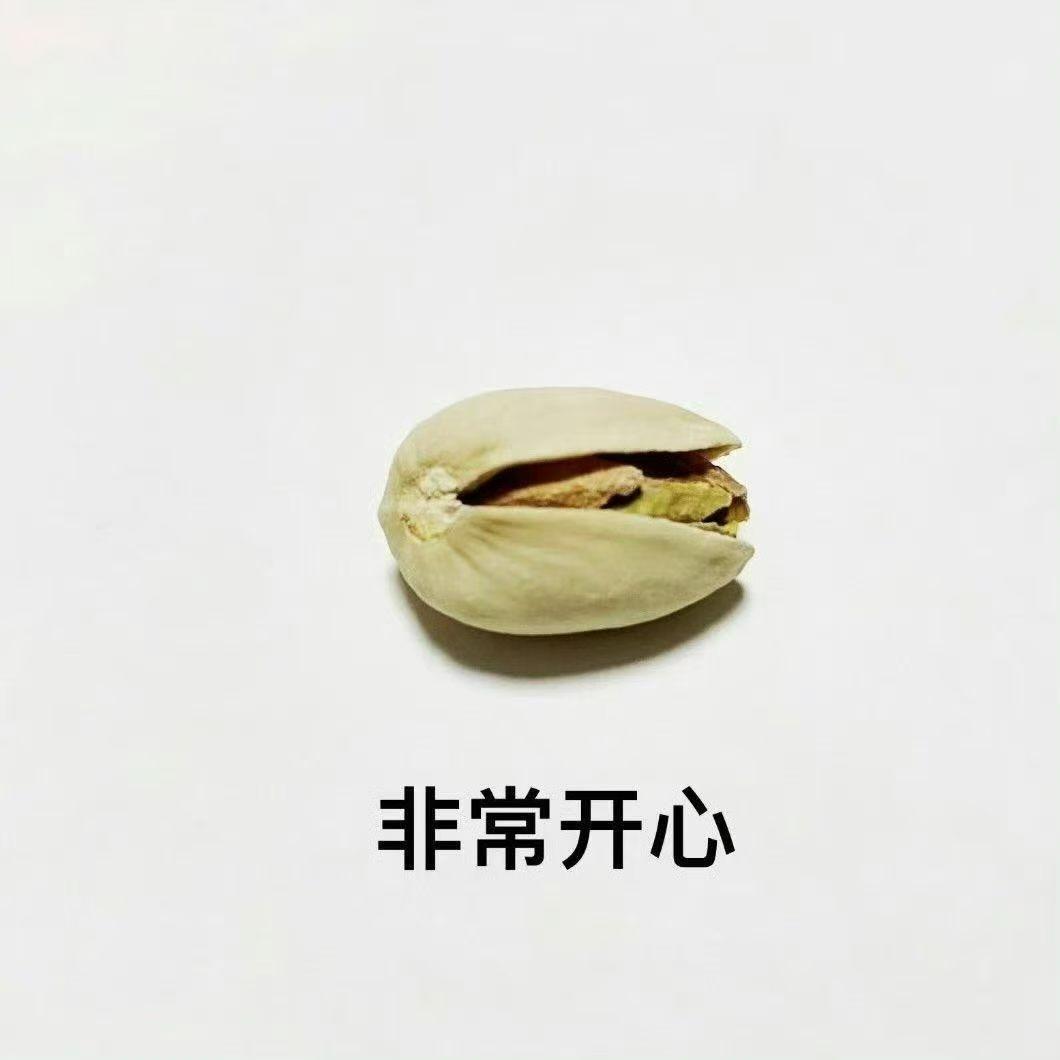 这里会长出一朵花封面