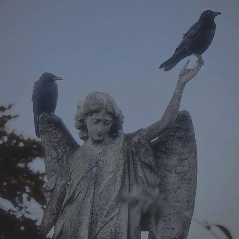 神性宗教感||到达祂的领域♪