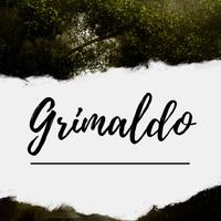 Michel Grimaldo