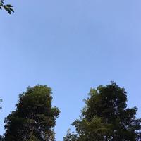 扬州一日游
