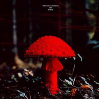 Rain (Remixes)
