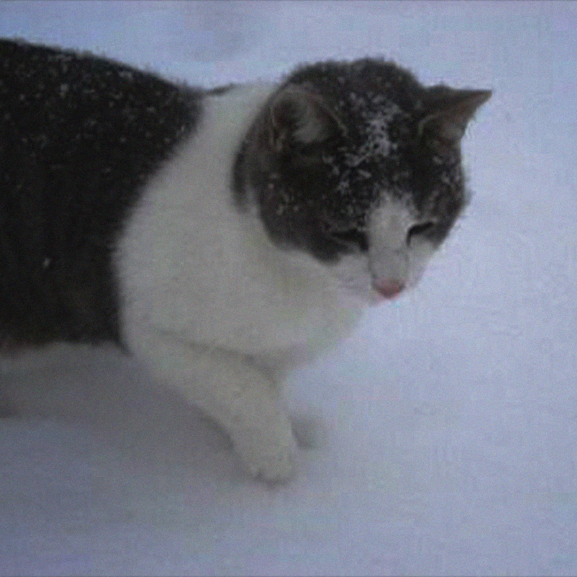 Я не гуляю (prod. by irlshitbih)