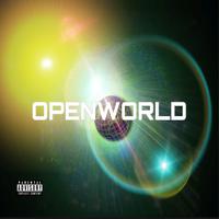 OPENWORLD