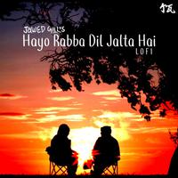 Hayo Rabba Dil Jalta Hai - Lofi