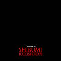 Dark Side Of Shibumi