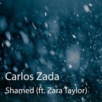 Shamed (feat. Zara Taylor)