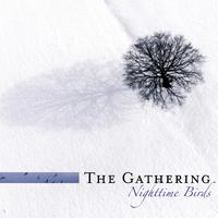 Nighttime Birds (Reissue)