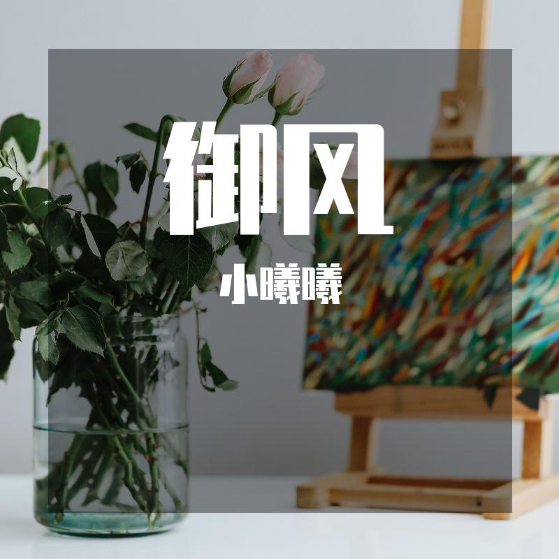 song-img