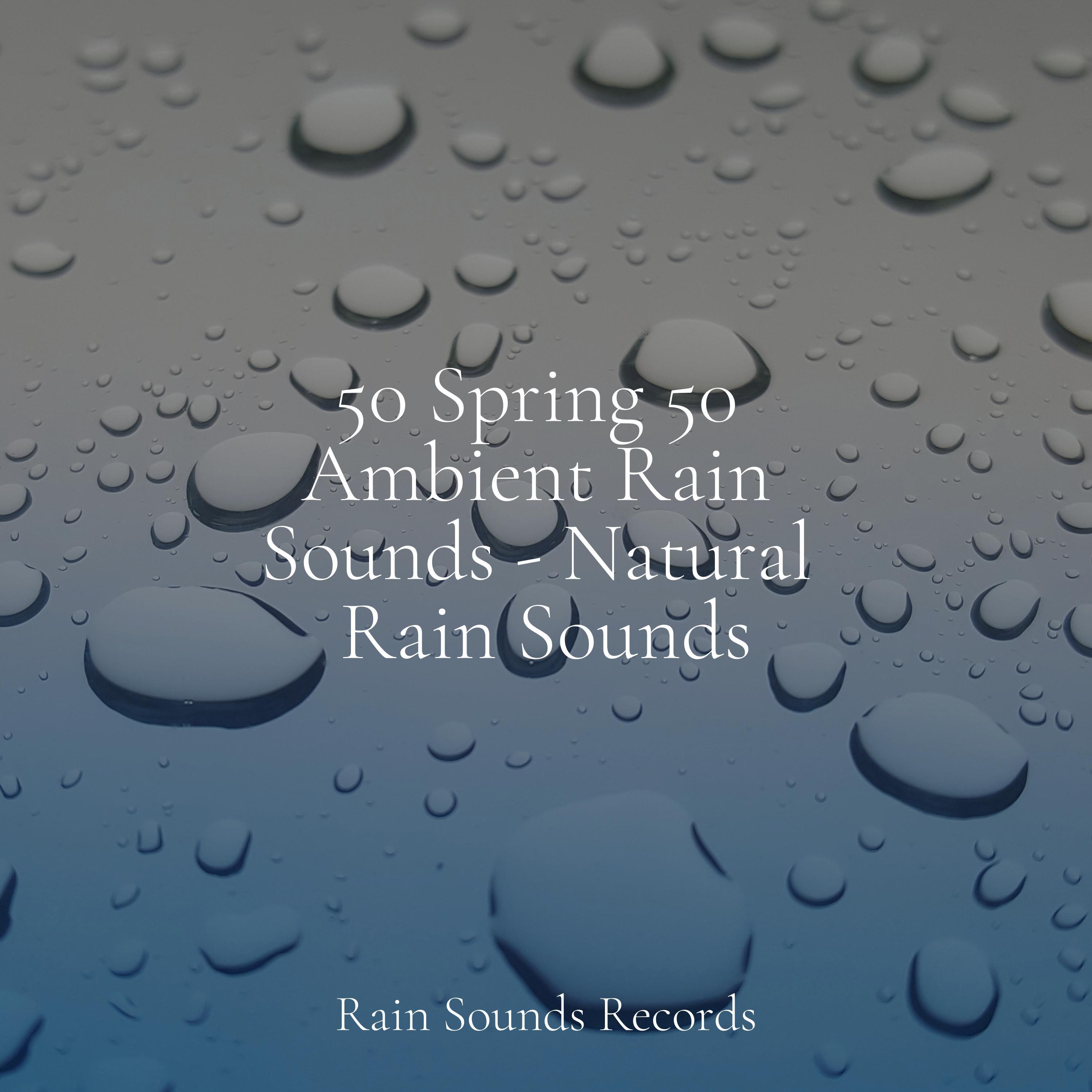 50 Spring 50 Ambient Rain Sounds Natural Rain Sounds Cascada De