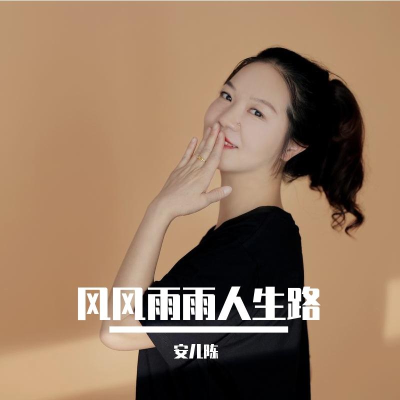 风风雨雨人生路 (DJ版)封面