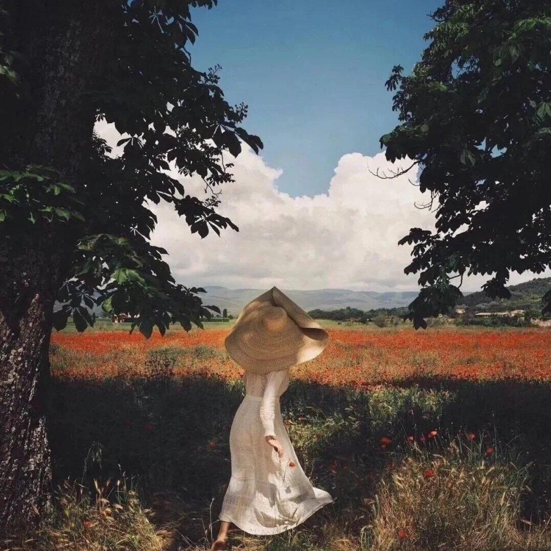 法式浪漫|阳光下的惬意午后