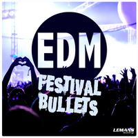 EDM Festival Bullets