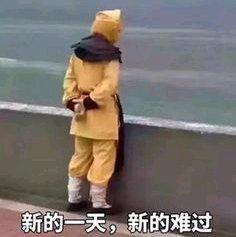 妓尤呐呐