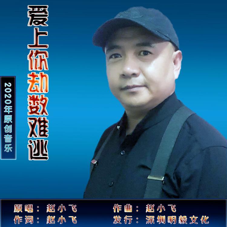 爱上你劫数难逃 (伴奏)封面