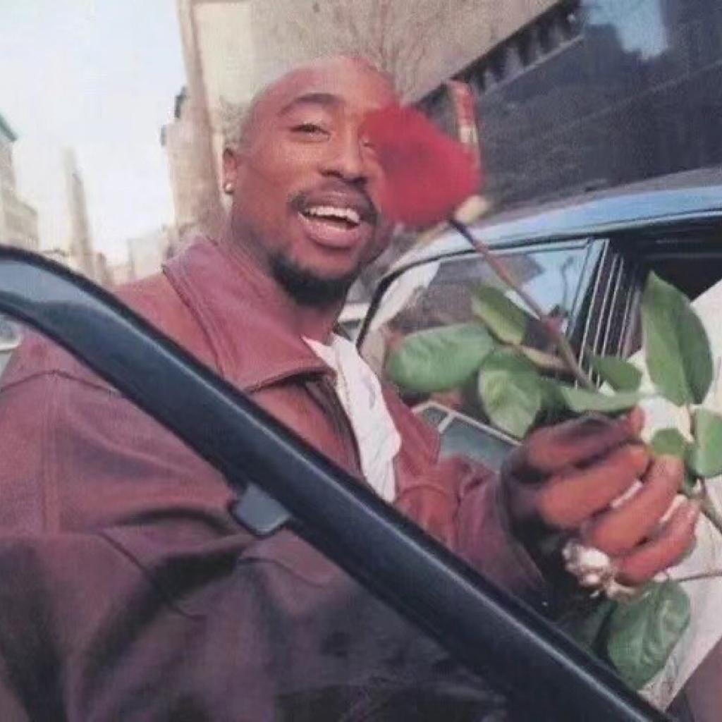 不想做象龟的Beggar