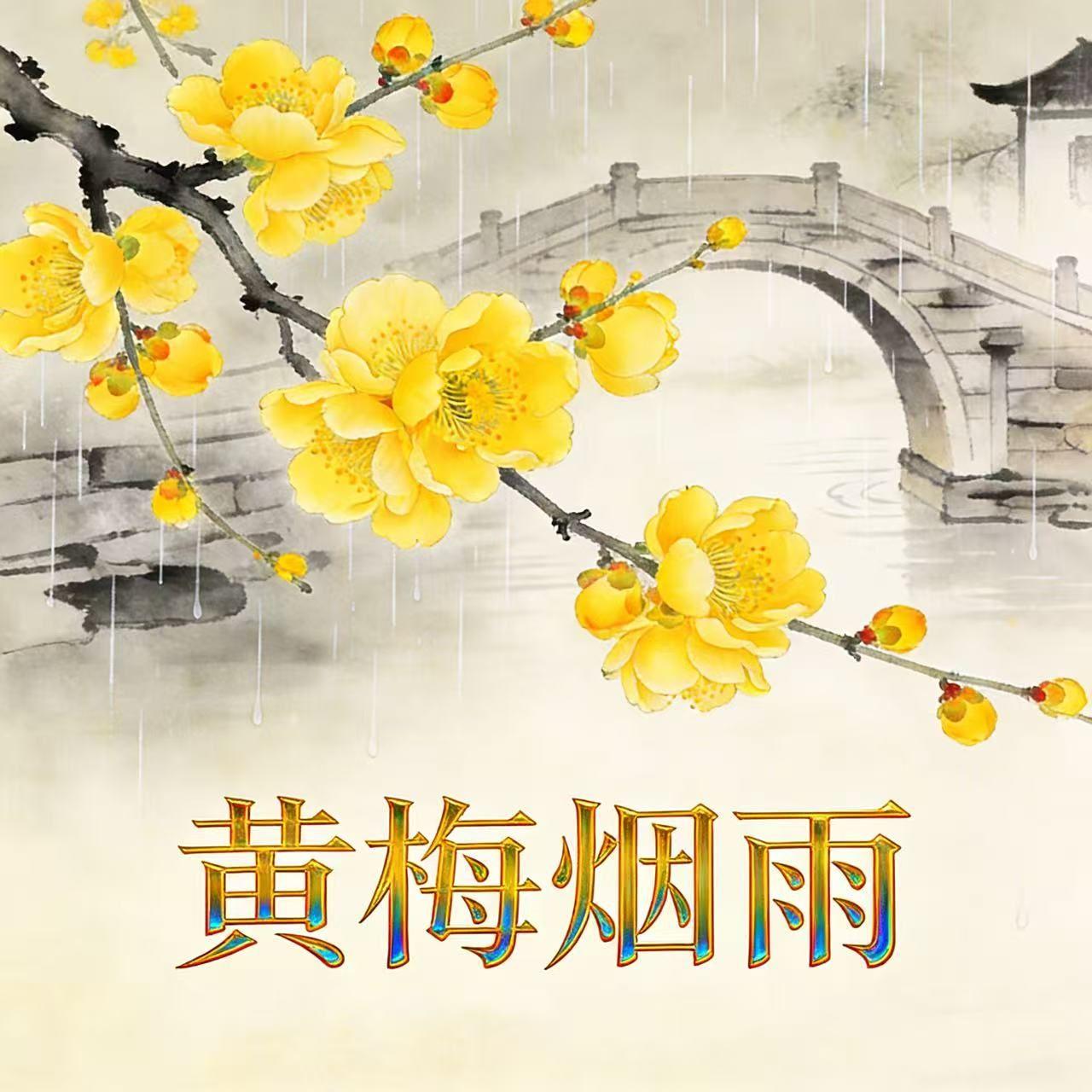 黄梅烟雨封面